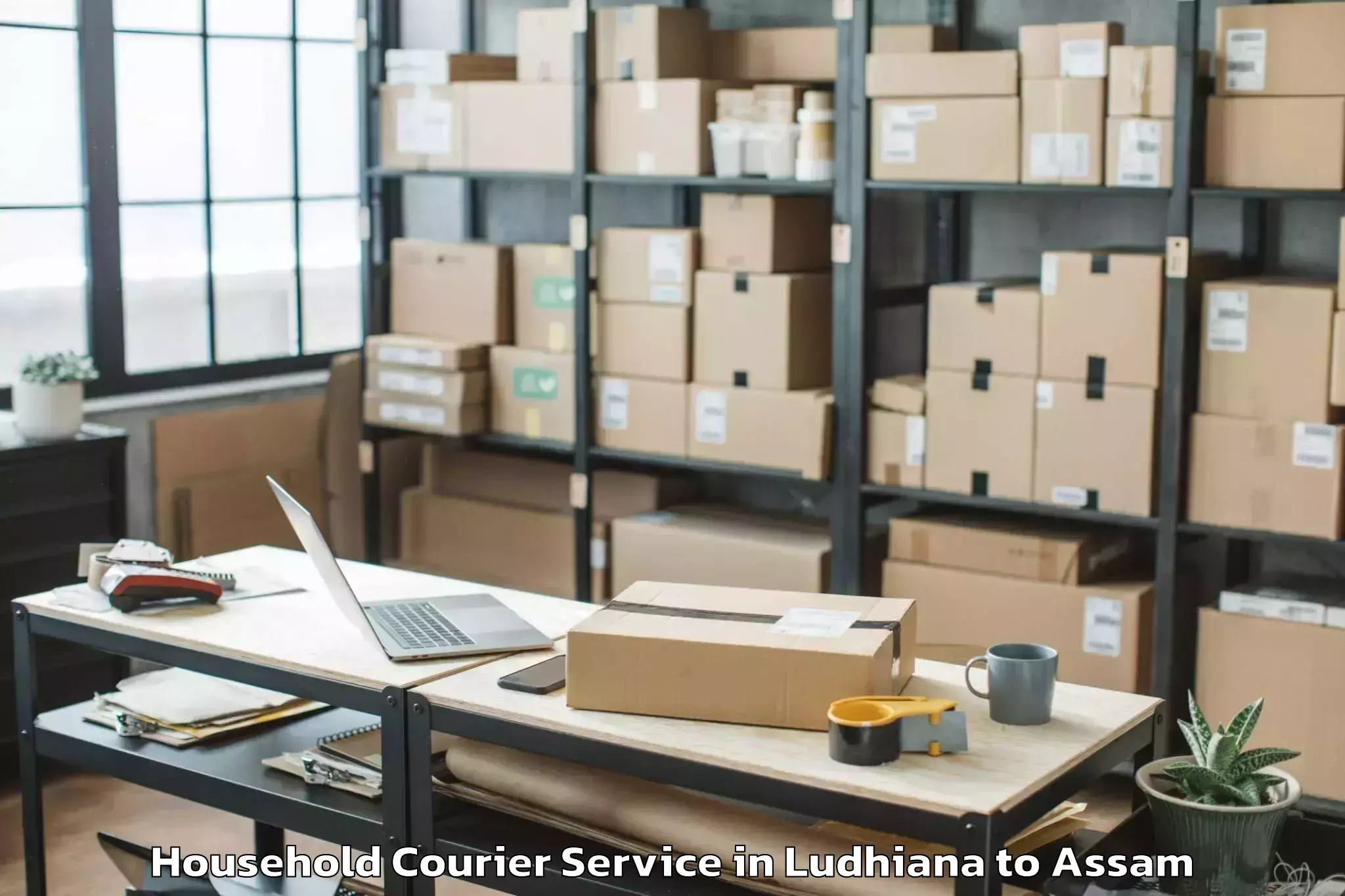 Expert Ludhiana to Mikirbheta Household Courier